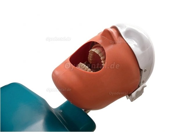 Jingle JG-A1 Phantom Head For Dental Students Dental Simulation Unit